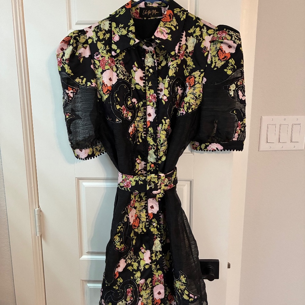 Like the Moon Dress
